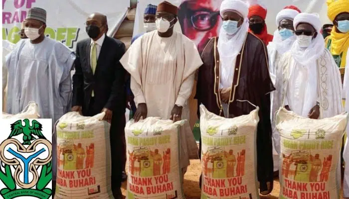 Why CBN Rice Production Intervention Fund May Prove A Misplaced Priority Overtime