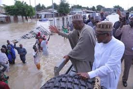 download (35) Dangote