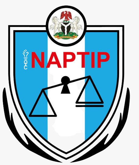 655e0e8031c8f Naptip