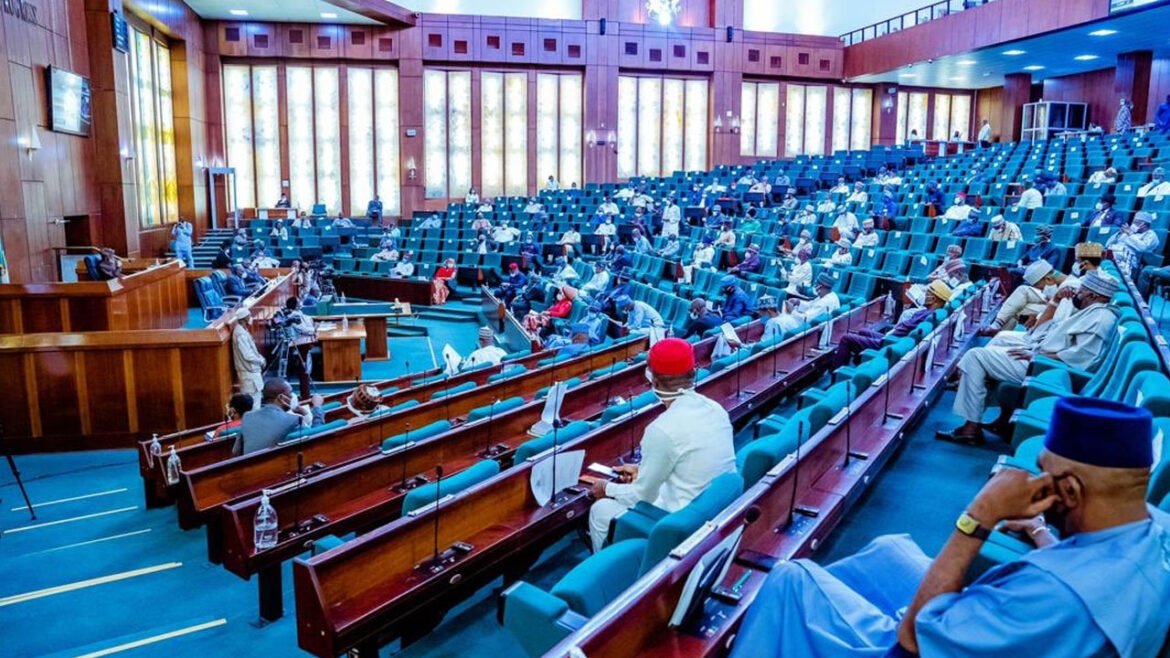 Federal-House-of-Representatives House of Reps