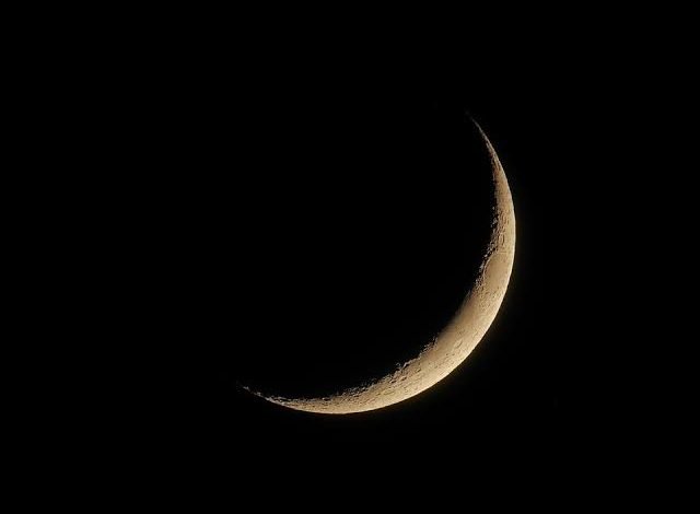 IMG_1634-640×470