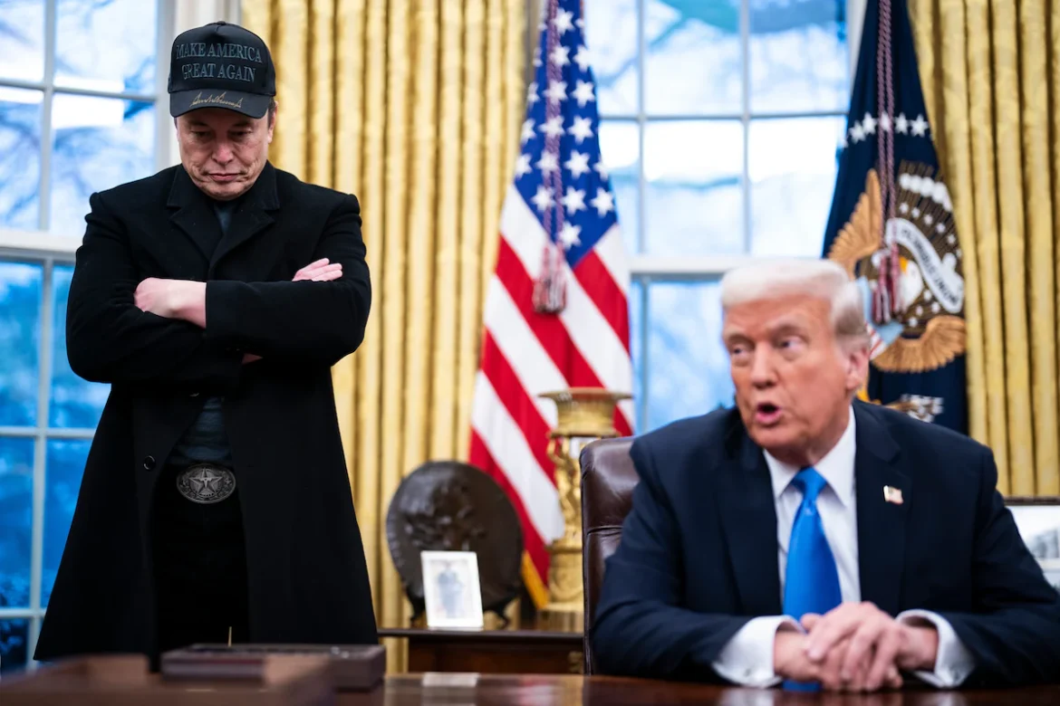 imrs Elon Musk