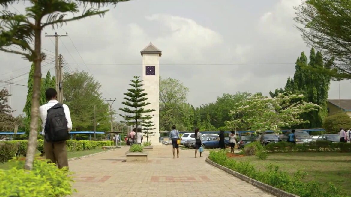 school-1 Tertiary Institution
